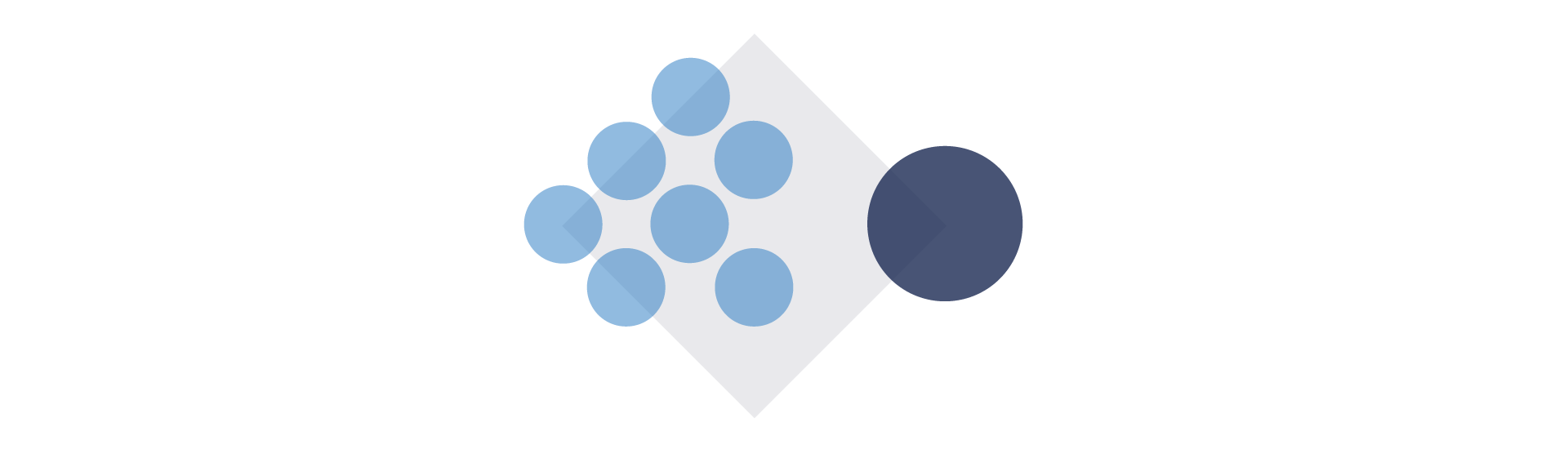 section interdisziplin Kopie 5